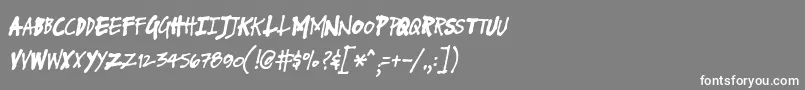 フォントFuseNormalItalic – 灰色の背景に白い文字