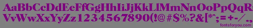 HorshamserialXboldRegular Font – Purple Fonts on Gray Background