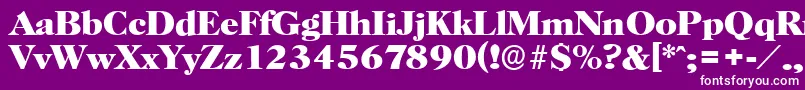 フォントHorshamserialXboldRegular – 紫の背景に白い文字