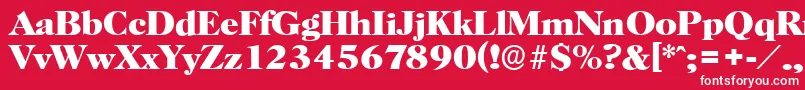 HorshamserialXboldRegular Font – White Fonts on Red Background