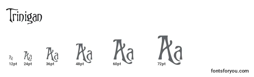 Размеры шрифта Trinigan