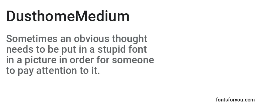 Review of the DusthomeMedium Font