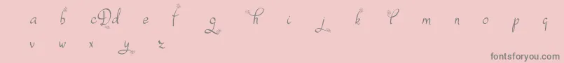 フォントDafodylDemo – ピンクの背景に灰色の文字
