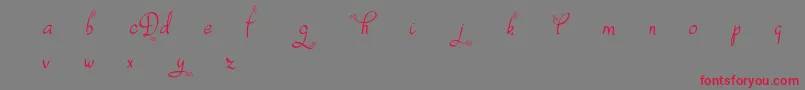 フォントDafodylDemo – 赤い文字の灰色の背景