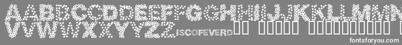 Discotech Font – White Fonts on Gray Background