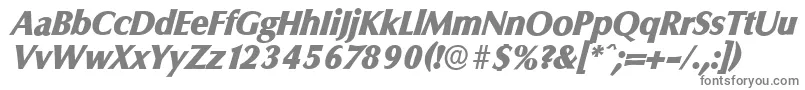 Czcionka ColumbiaserialHeavyItalic – szare czcionki