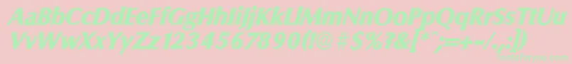 ColumbiaserialHeavyItalic Font – Green Fonts on Pink Background