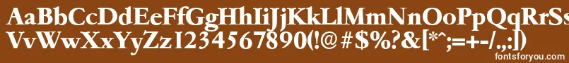 フォントGarfeldserialXbold – 茶色の背景に白い文字