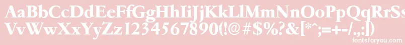 GarfeldserialXbold Font – White Fonts on Pink Background