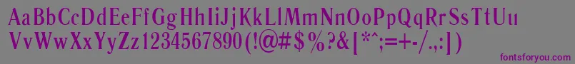LiteraturnayaBold.001.00180b Font – Purple Fonts on Gray Background