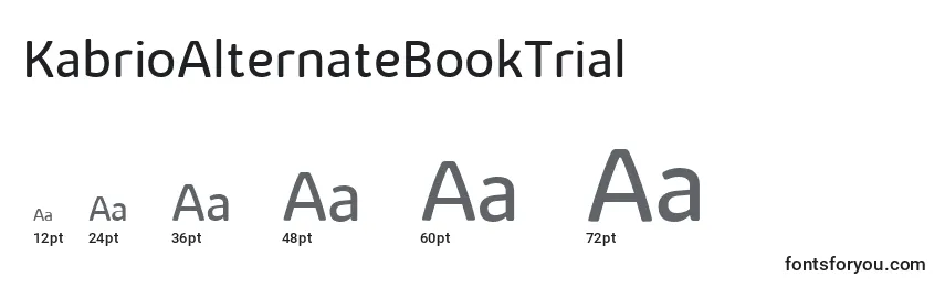 Размеры шрифта KabrioAlternateBookTrial