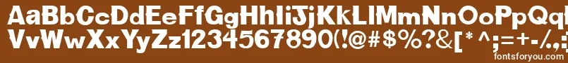CactussskBold Font – White Fonts on Brown Background
