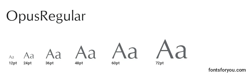 OpusRegular Font Sizes