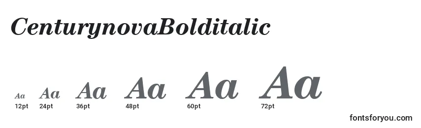 CenturynovaBolditalic Font Sizes