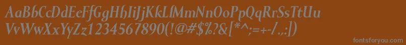 MramorBolditalic Font – Gray Fonts on Brown Background