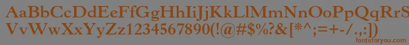 Czcionka HorleyoldstylemtstdBold – brązowe czcionki na szarym tle