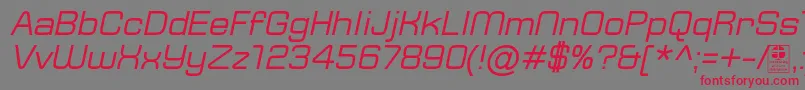 フォントTypoSquareItalicDemo – 赤い文字の灰色の背景