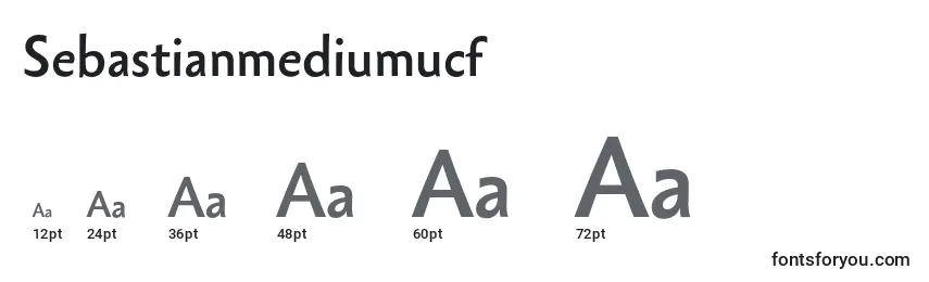 Размеры шрифта Sebastianmediumucf