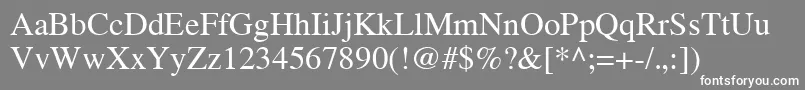 TimesCeRegular Font – White Fonts on Gray Background
