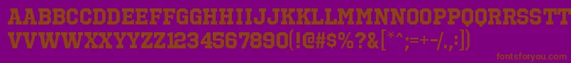 OctinsportsrgBold Font – Brown Fonts on Purple Background
