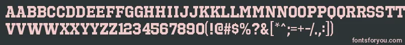 OctinsportsrgBold Font – Pink Fonts on Black Background