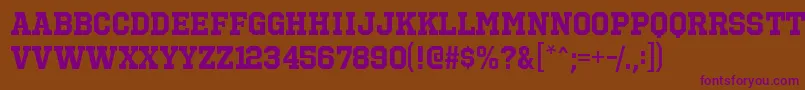 OctinsportsrgBold Font – Purple Fonts on Brown Background