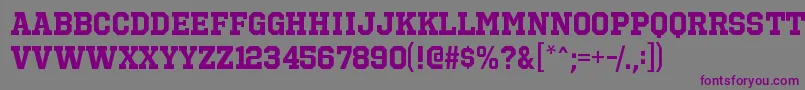 Шрифт OctinsportsrgBold – фиолетовые шрифты на сером фоне