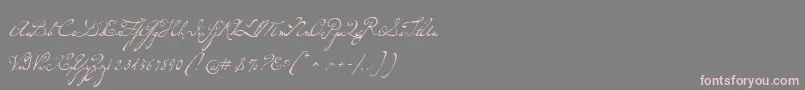 Saiba mais sobre a fonte P22dearestscript Fonte P22dearestscript – fontes rosa em um fundo cinza