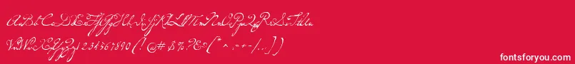 P22dearestscript Font – White Fonts on Red Background
