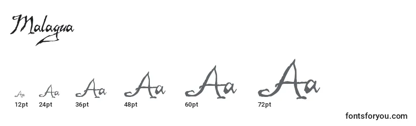 Размеры шрифта Malagua