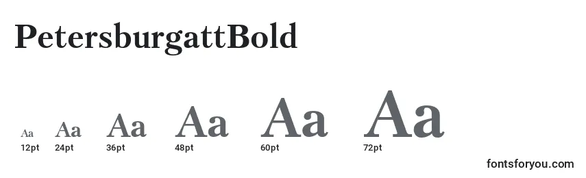 PetersburgattBold Font Sizes