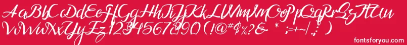 Guarddillatypefacedemo Font – White Fonts on Red Background