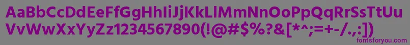 HindBold Font – Purple Fonts on Gray Background