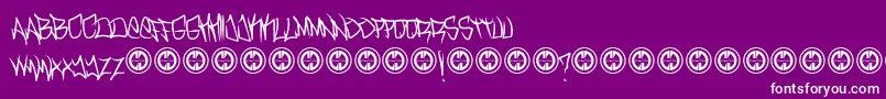 TurntupRegular Font – White Fonts on Purple Background