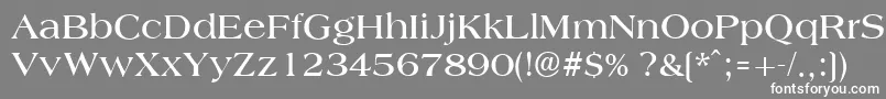 AmphionBold Font – White Fonts on Gray Background