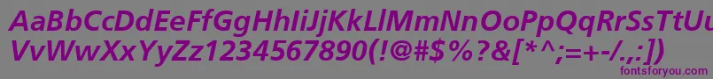 FrutigerCe66BoldItalic Font – Purple Fonts on Gray Background