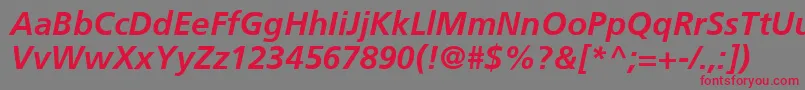 FrutigerCe66BoldItalic Font – Red Fonts on Gray Background