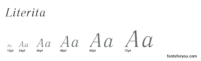 Literita Font Sizes