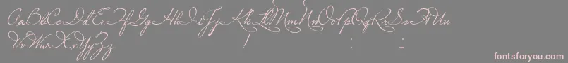 PlasterOfParis-Schriftart – Rosa Schriften auf grauem Hintergrund
