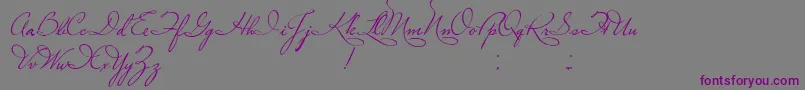 PlasterOfParis-Schriftart – Violette Schriften auf grauem Hintergrund