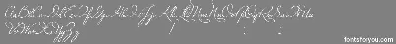 PlasterOfParis Font – White Fonts on Gray Background