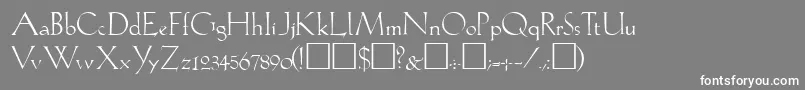 Lil Font – White Fonts on Gray Background