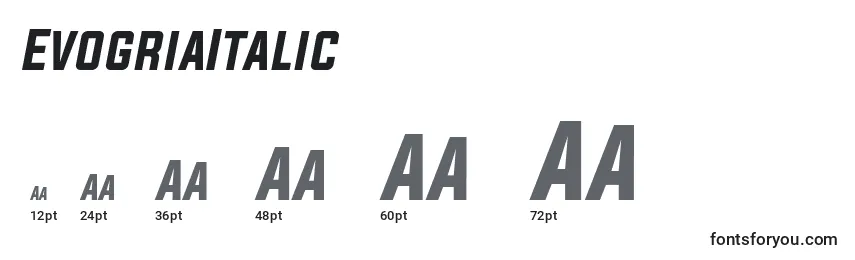 EvogriaItalic Font Sizes
