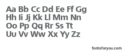 QuebecExtrabold Font