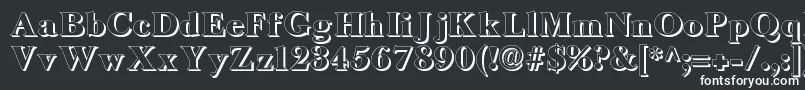 LongislandShadow Font – White Fonts on Black Background