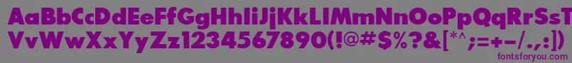 GlasnostextraboldRegular-Schriftart – Violette Schriften auf grauem Hintergrund