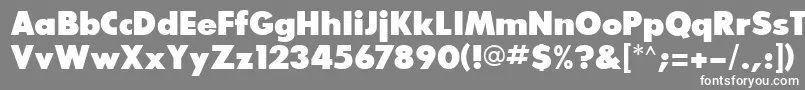 GlasnostextraboldRegular Font – White Fonts on Gray Background