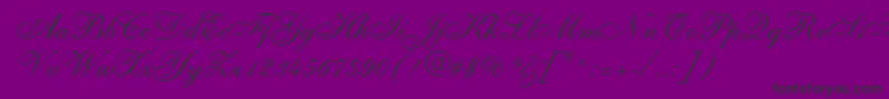 VestureRegular-Schriftart – Schwarze Schriften auf violettem Hintergrund