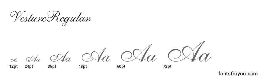VestureRegular Font Sizes