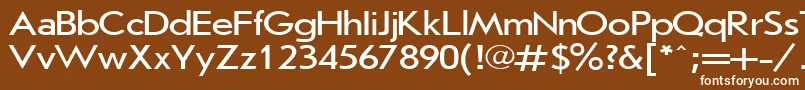 JournalSansserif120nPlain001.001 Font – White Fonts on Brown Background